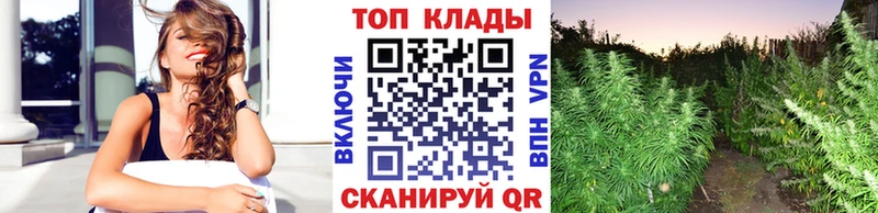  COCAIN Кольчугино