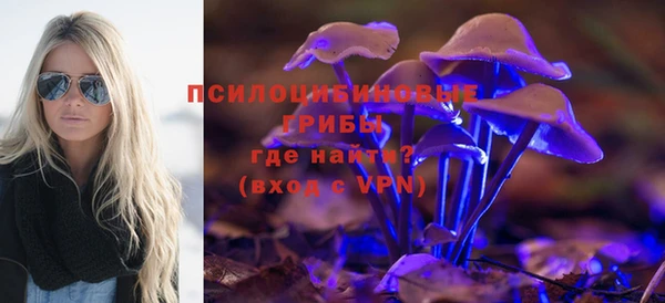 Альфа ПВП Нязепетровск