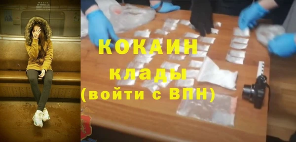 первитин Няндома