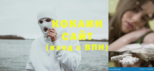 первитин Няндома