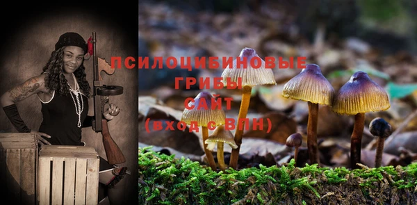 Альфа ПВП Нязепетровск