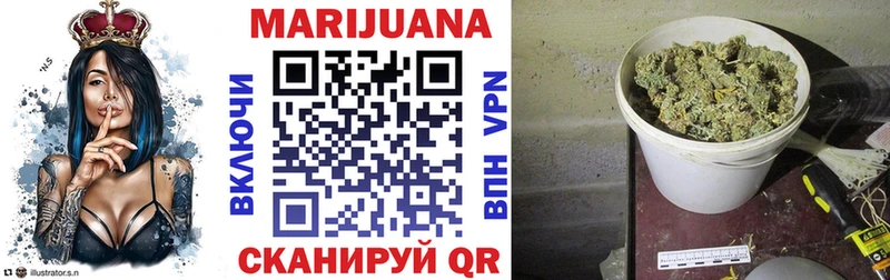 Купить где Кольчугино Конопля ГИДРОПОН